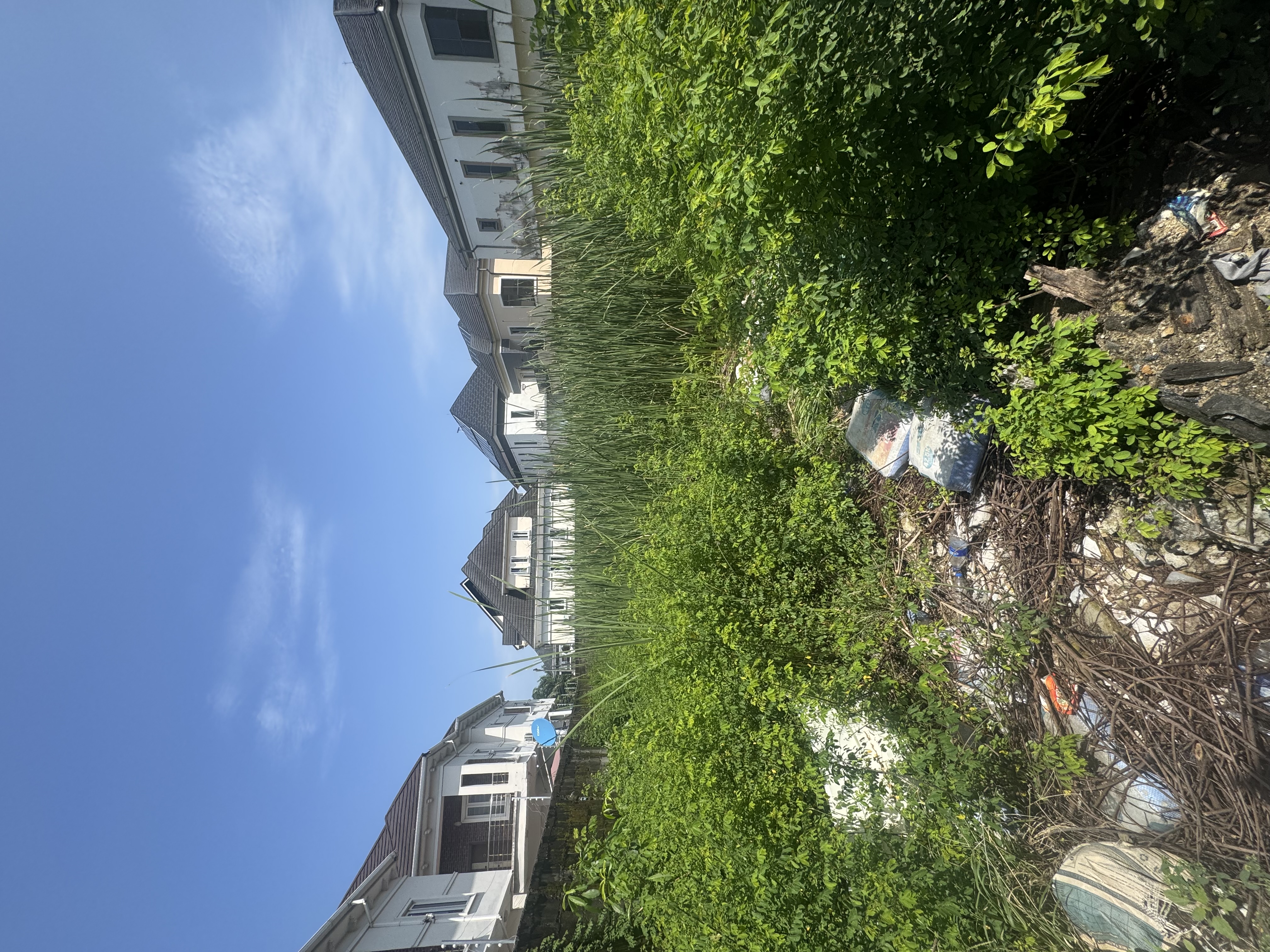 Bare land measuring approximately 700SQM